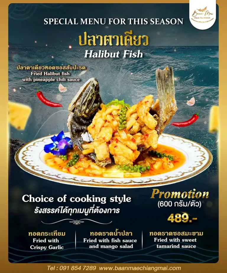 halibut-fish-promotion