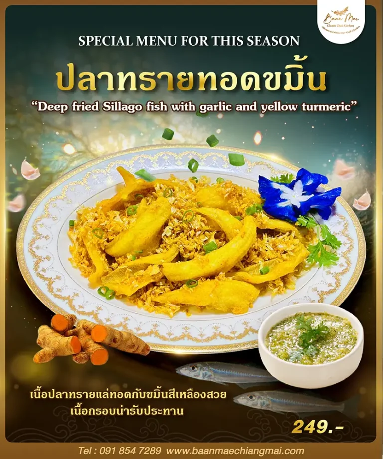 sillago-fish-promotion